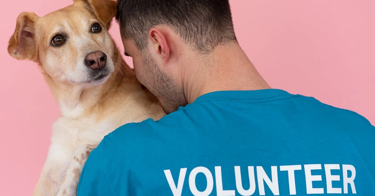 Социальная ответственность в игровой индустрии и благотворительность